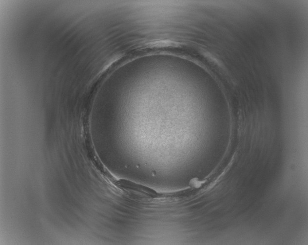 X0000054401305200508121648