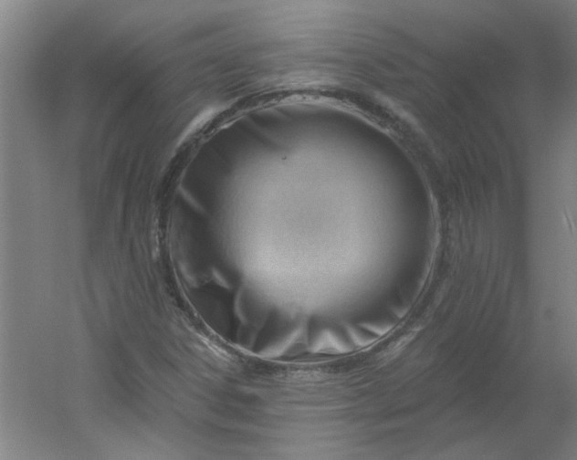 X0000054401306200508121648