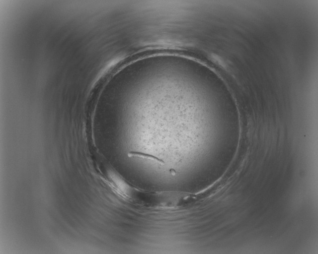 X0000054401307200508121648