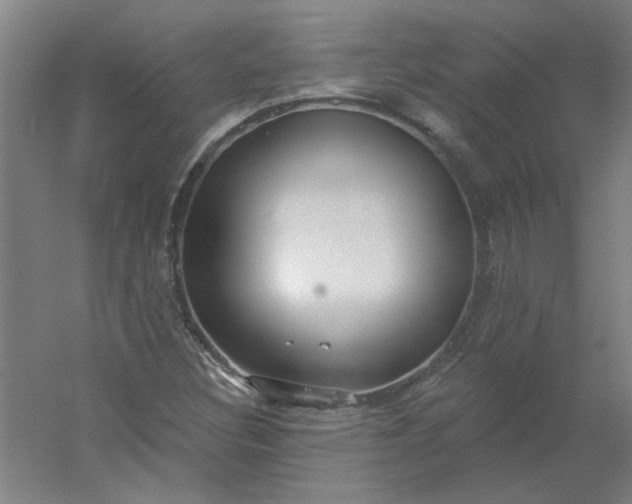 X0000054401308200508121648