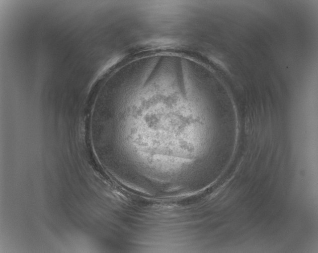 X0000054401309200508121648