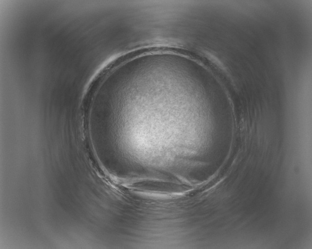 X0000054401310200508121648