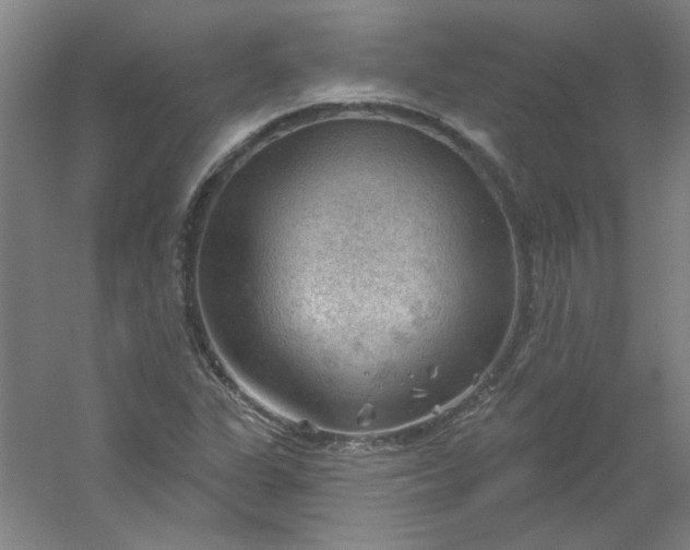 X0000054401311200508121648