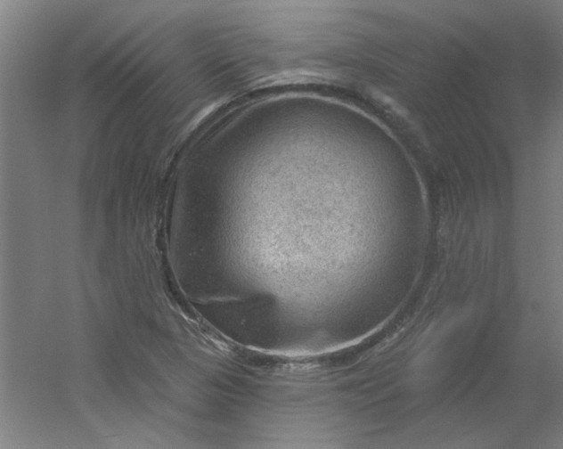 X0000054401313200508121648