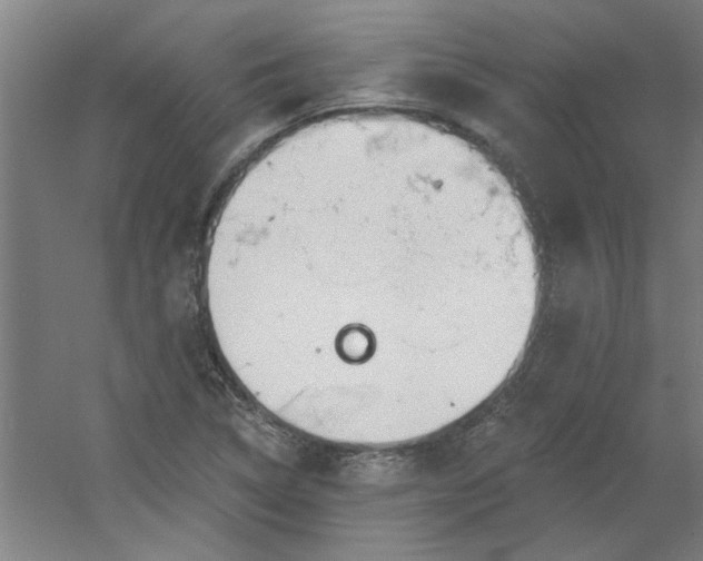 X0000054401314200508121648