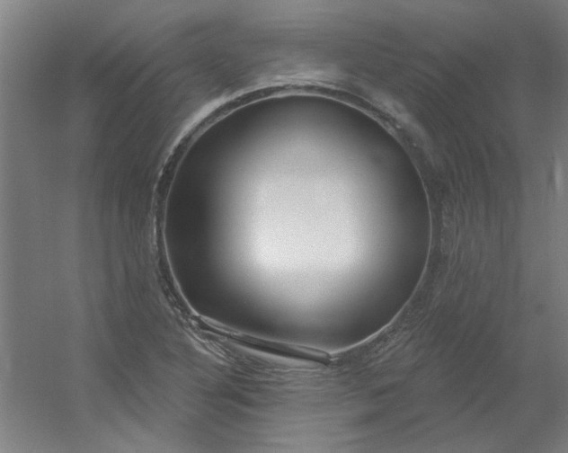 X0000054401316200508121648