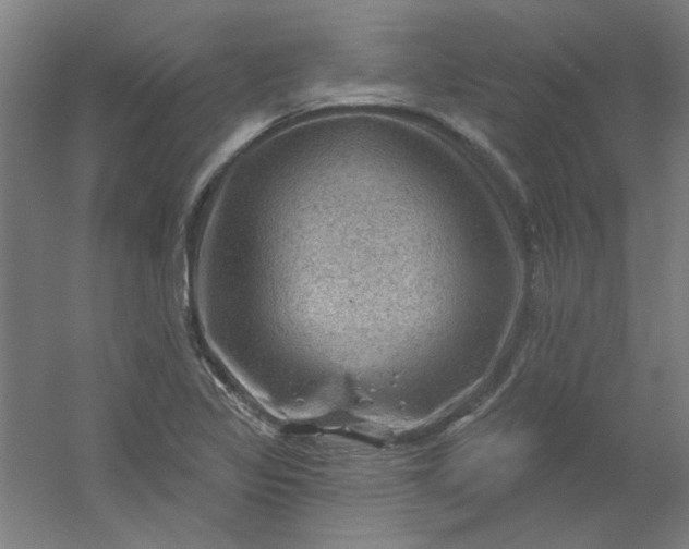 X0000054401317200508121648