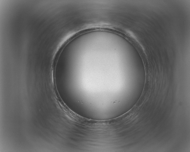 X0000054401320200508121649