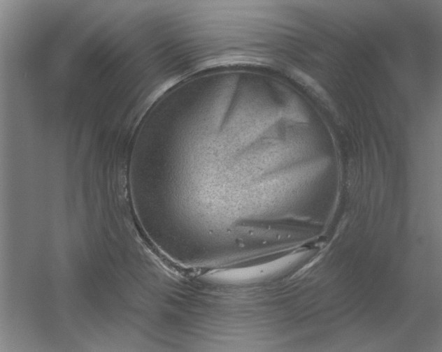 X0000054401321200508121649