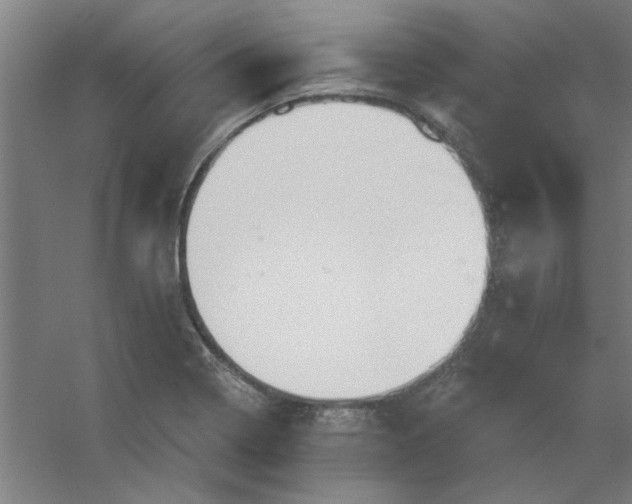 X0000054401322200508121649