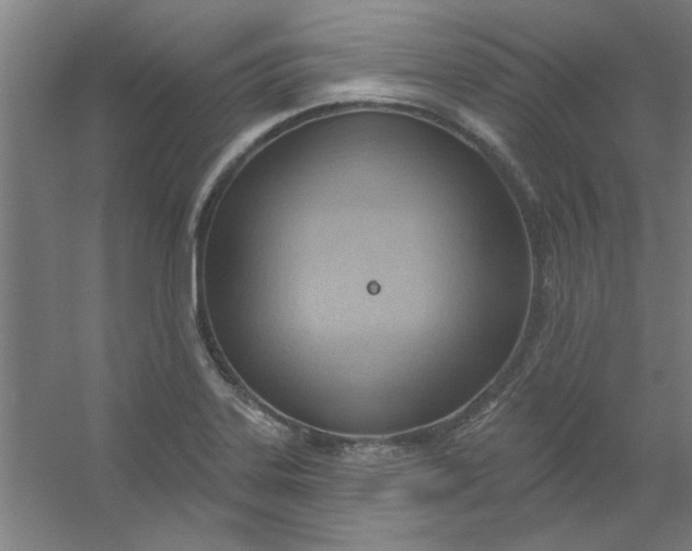 X0000054401323200508121649