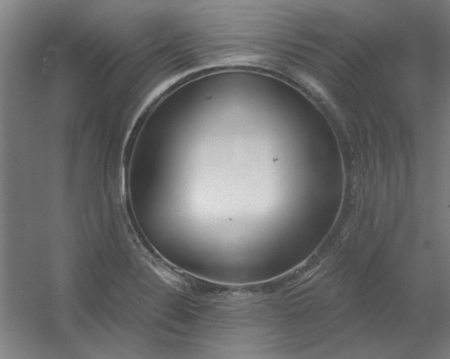 X0000054401324200508121649