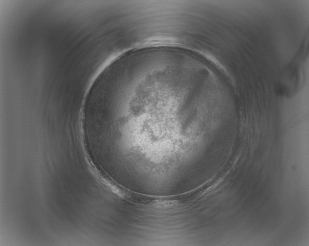 X0000054401325200508121649