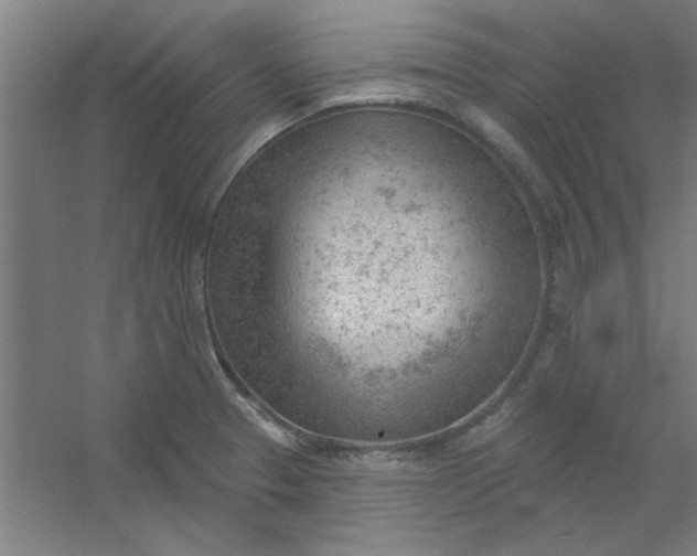 X0000054401329200508121649