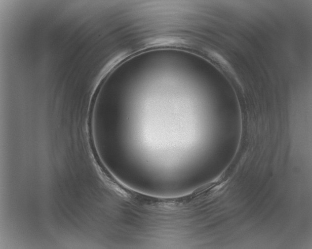 X0000054401330200508121649