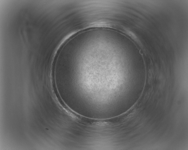 X0000054401331200508121649