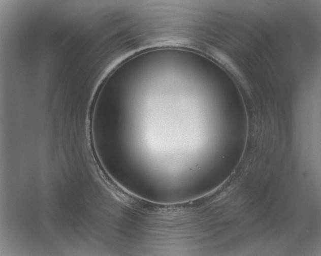 X0000054401332200508121649