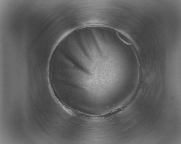 X0000054401333200508121649