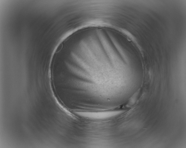 X0000054401335200508121649