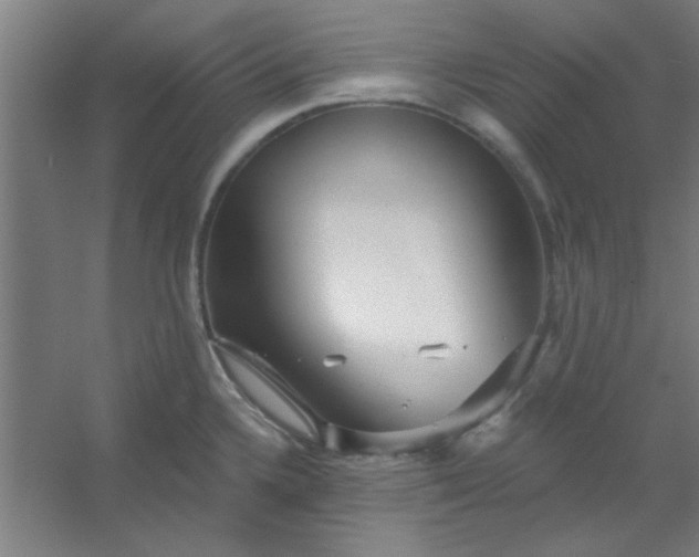 X0000054401336200508121649