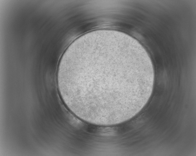 X0000054401338200508121649