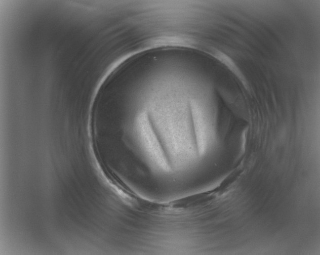 X0000054401339200508121649