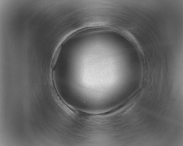 X0000054401340200508121649