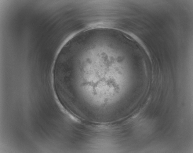 X0000054401341200508121649