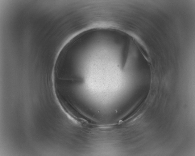 X0000054401343200508121649