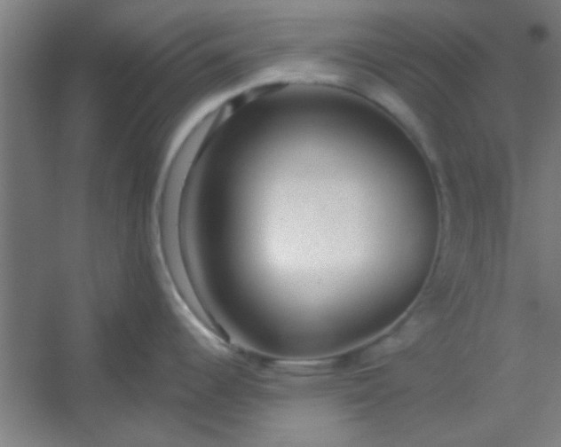 X0000054401344200508121649