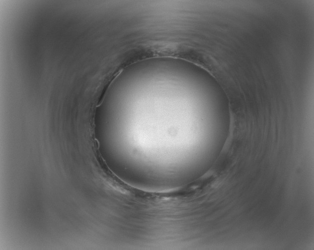 X0000054401345200508121648