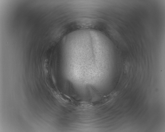 X0000054401346200508121648