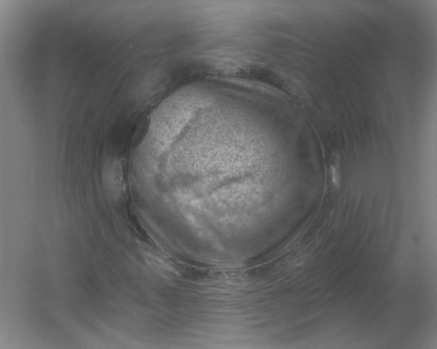 X0000054401347200508121648