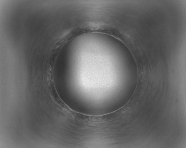 X0000054401349200508121648