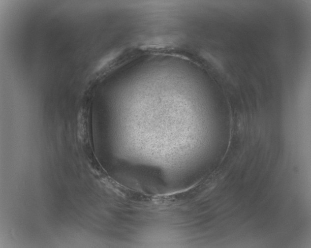 X0000054401350200508121648