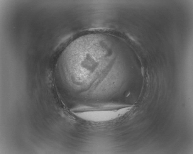 X0000054401351200508121648