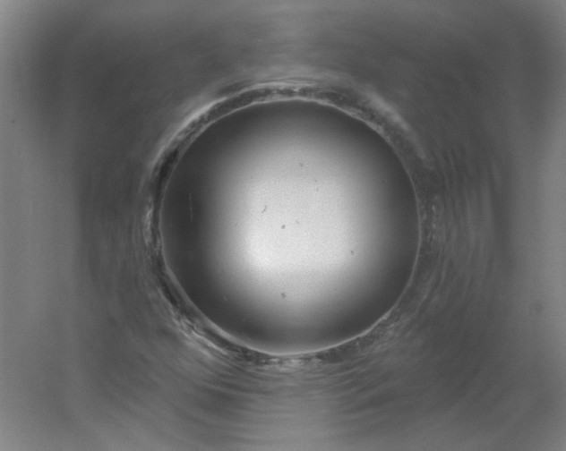 X0000054401352200508121648