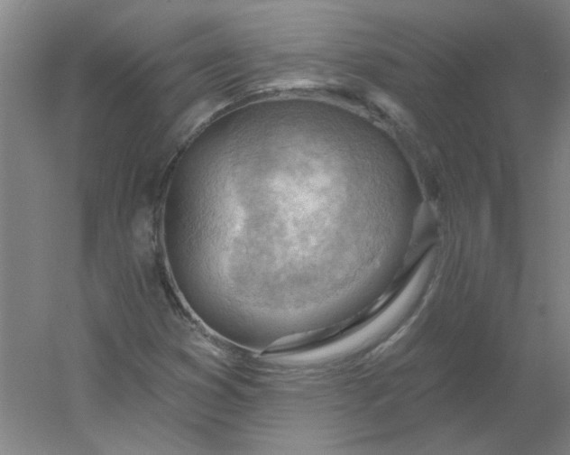 X0000054401353200508121648