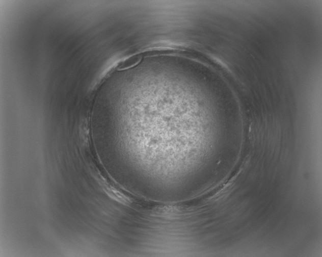 X0000054401355200508121648