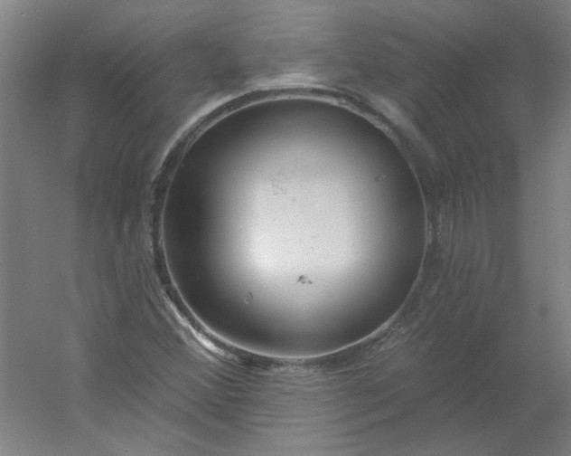 X0000054401356200508121648