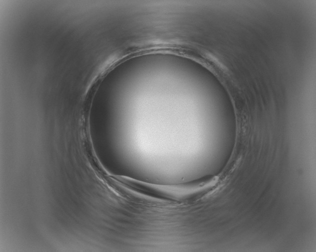 X0000054401357200508121648