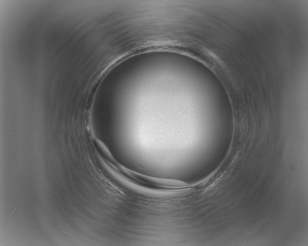 X0000054401361200508121648