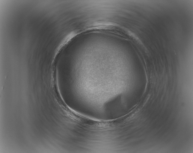 X0000054401362200508121648