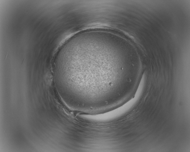 X0000054401363200508121648