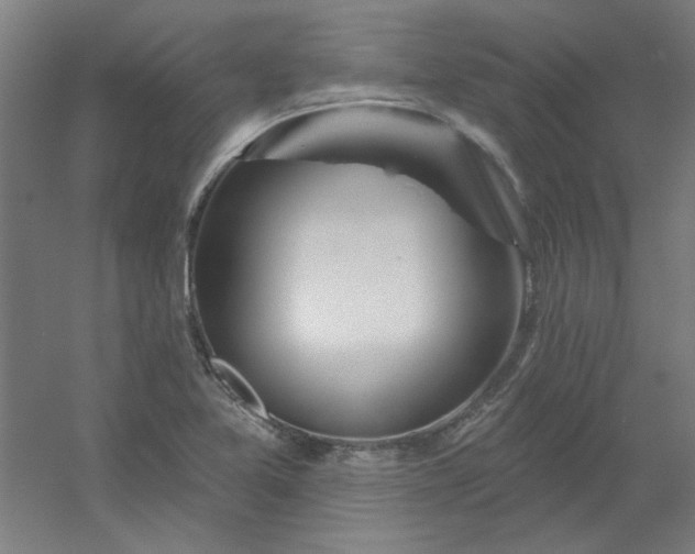 X0000054401365200508121648