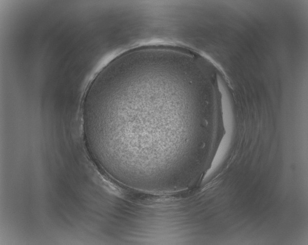 X0000054401367200508121648