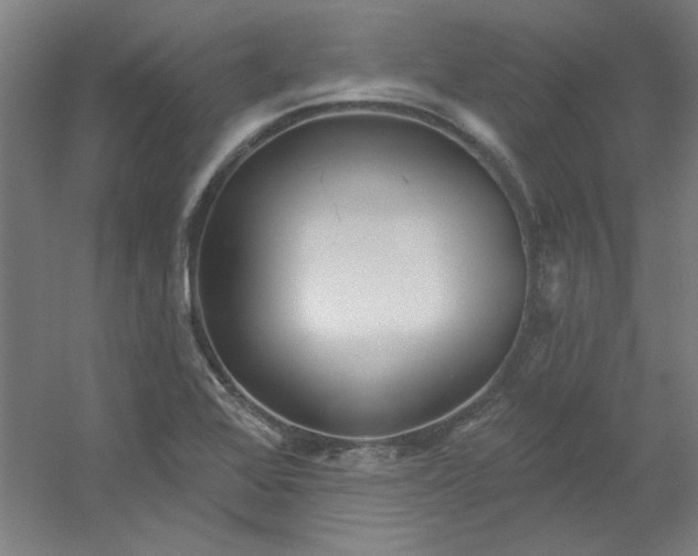 X0000054401368200508121648