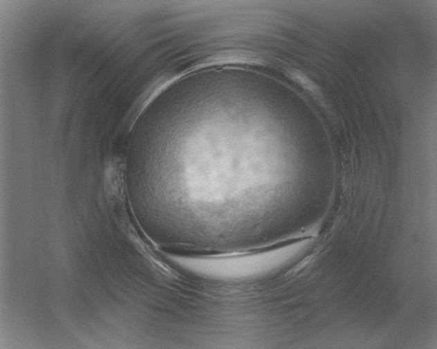 X0000054401369200508121648