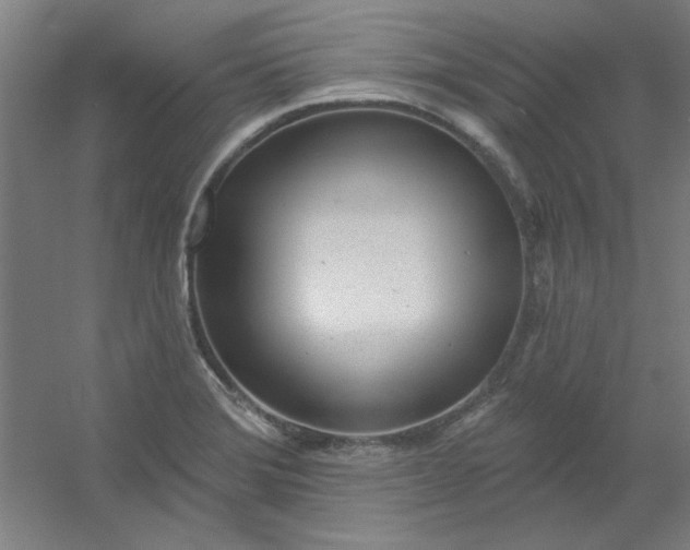 X0000054401372200508121648