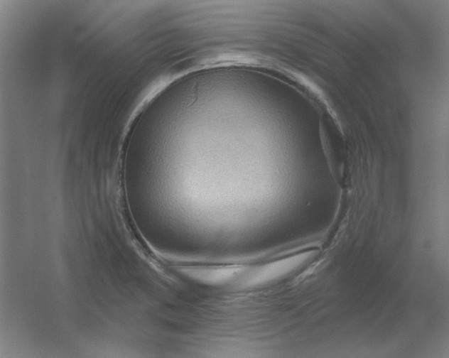 X0000054401373200508121648